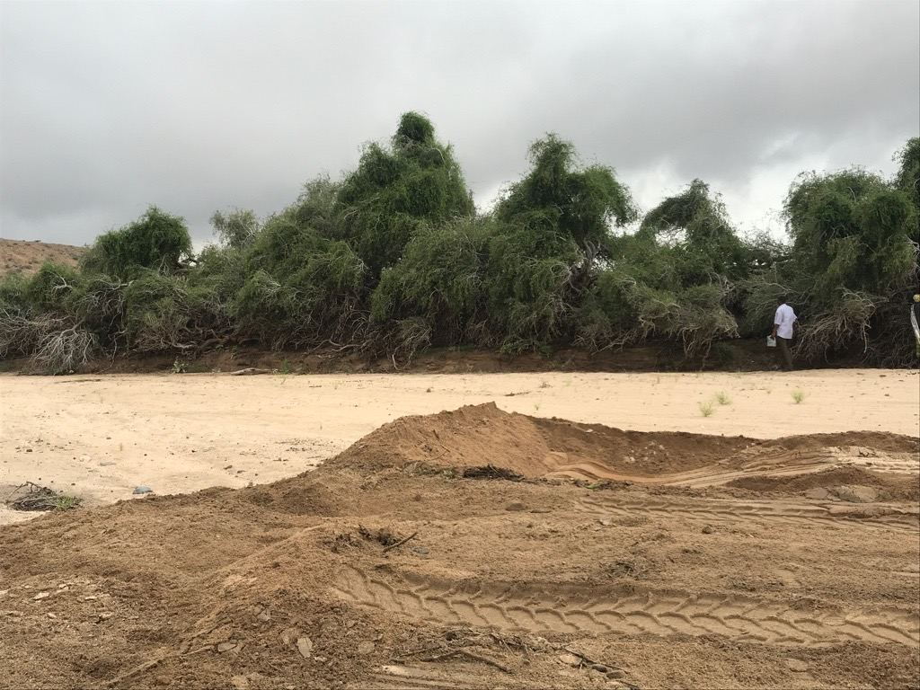 Natural river sand deposit